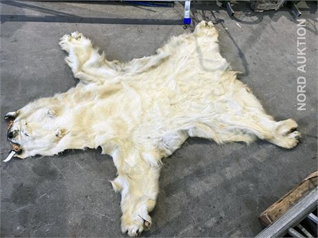 Isbjørneskind