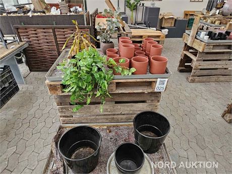 Blandet krukker og plastik blomster