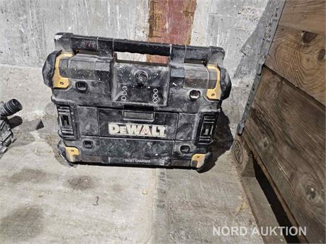 Akku radio, Dewalt dwst1-81078