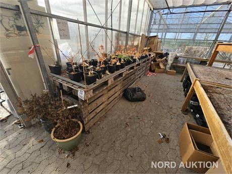 3 stk. blomsterbakker samt 2 stk. krukker med udtørret blomster